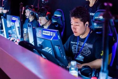 爆料小智赶海视频大全,探寻海洋宝藏的欢乐时光 第1张 爆料小智赶海视频大全,探寻海洋宝藏的欢乐时光 第1张