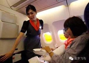 泰国空姐爆料事件视频,揭秘航空业不为人知的秘密 第1张 泰国空姐爆料事件视频,揭秘航空业不为人知的秘密 第1张