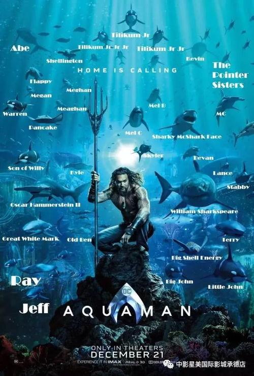 吉林海王爆料事件视频播放,揭秘事件背后真相  第2张